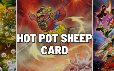 Hot Pot Sheep Card