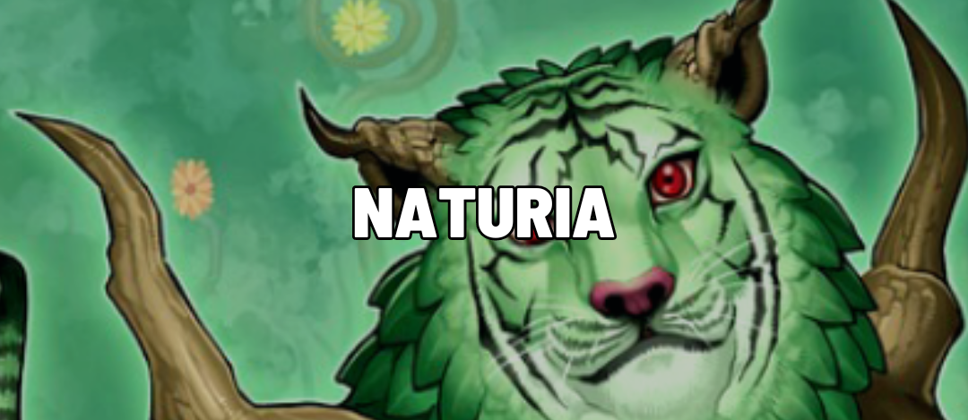 Naturia Top Decks