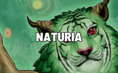 Naturia Top Decks