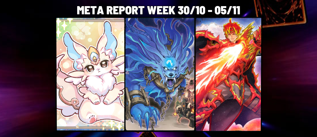 Meta Report Week 30/10 – 05/11