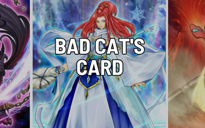 Bad Cat’s Card