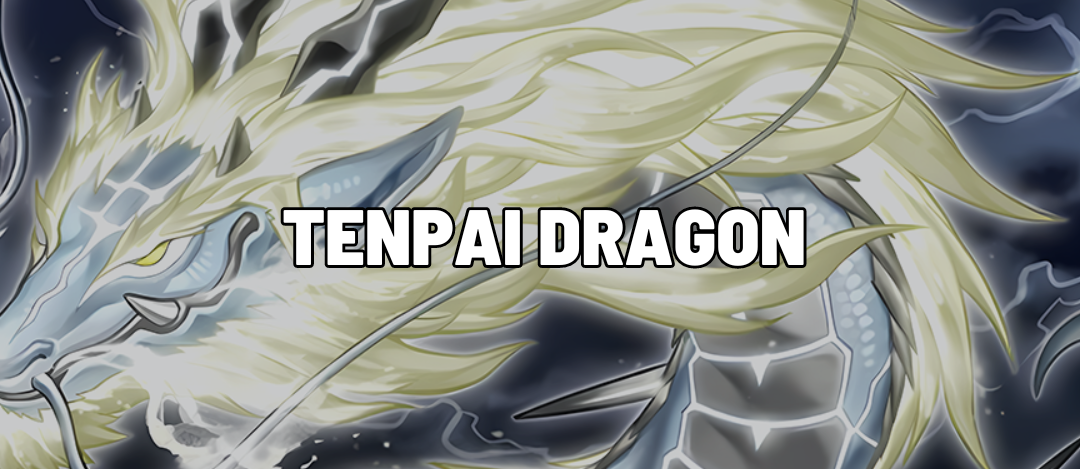 Tenpai Dragon Top Decks