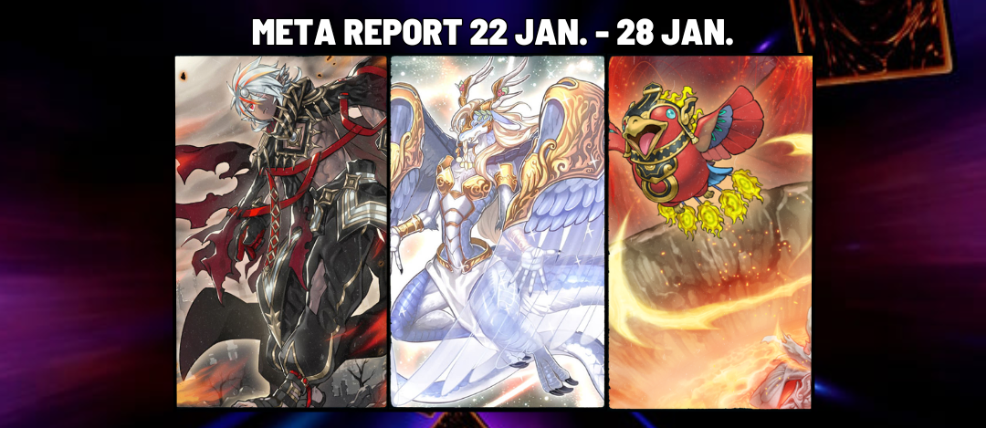 Meta Report 22 JAN. – 28 JAN.