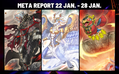 Meta Report 22 JAN. – 28 JAN.