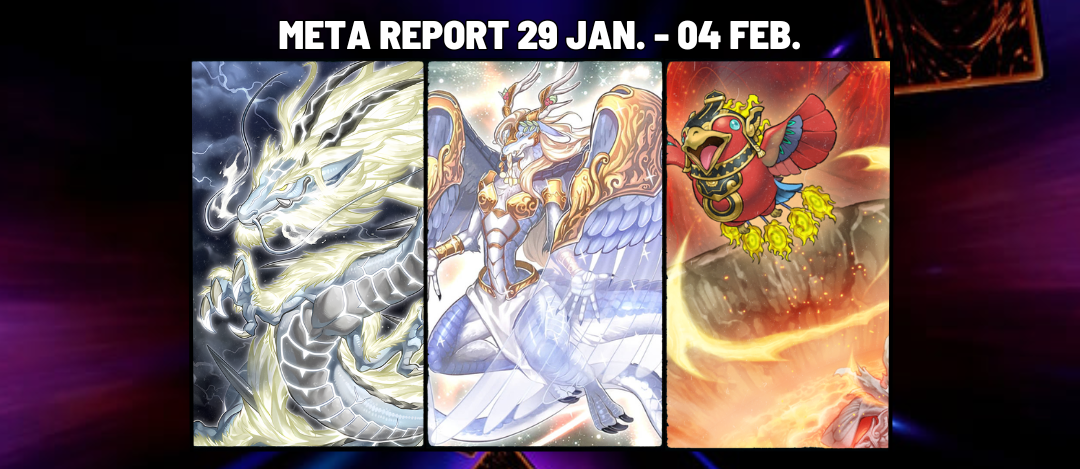 Meta Report Week 29 JAN.- 04 FEB.