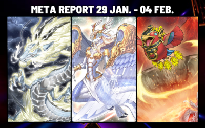 Meta Report Week 29 JAN.- 04 FEB.