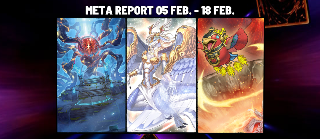 Meta Report Weeks 05/02 – 18/02